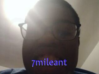 7mileant