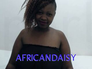 AFRICANDAISY