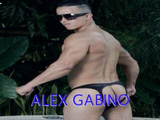 ALEX_GABINO