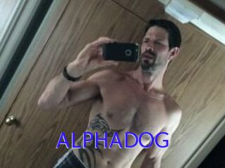 ALPHADOG