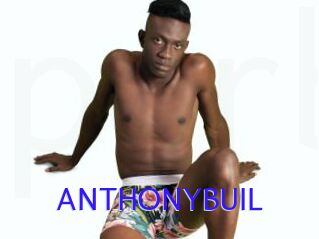 ANTHONYBUIL