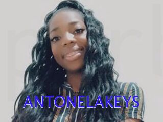 ANTONELAKEYS