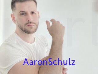 AaronSchulz