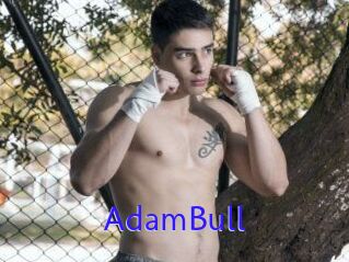 AdamBull