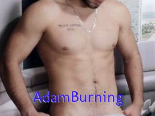 AdamBurning