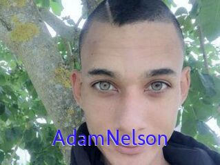 Adam_Nelson