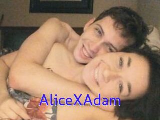 Alice_X_Adam