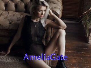 AmeliaGate