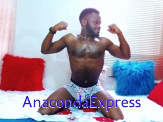 AnacondaExpress