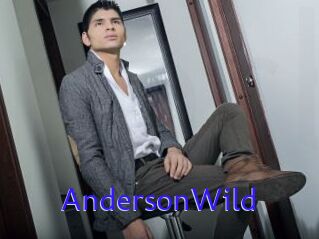 AndersonWild