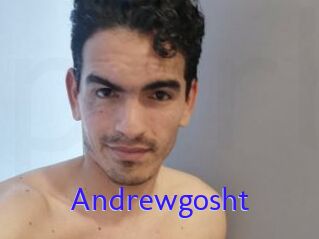 Andrewgosht