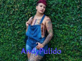 AndyPulido