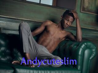 Andycuteslim