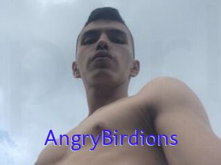 AngryBirdions