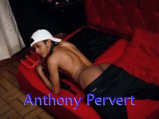 Anthony_Pervert