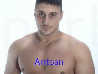 Antoan