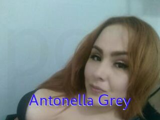 Antonella_Grey