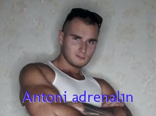 Antoni_adrenal1n