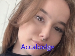 Accabodge