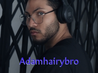 Adamhairybro