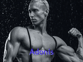 Adonis