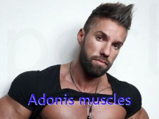 Adonis_muscles