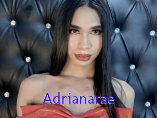 Adrianarae