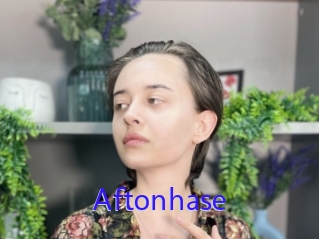 Aftonhase