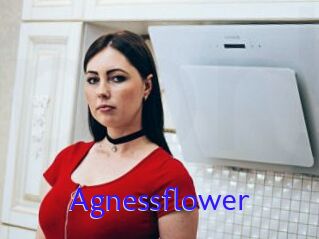 Agnessflower