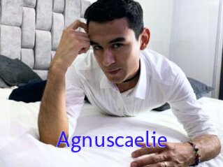 Agnuscaelie