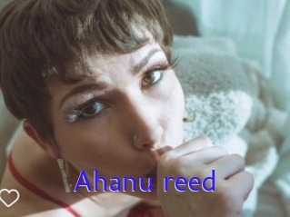 Ahanu_reed