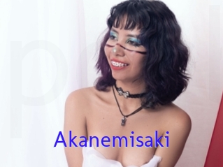 Akanemisaki