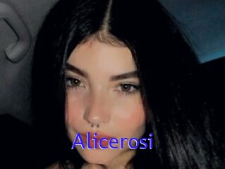 Alicerosi