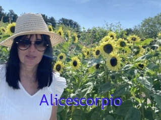 Alicescorpio