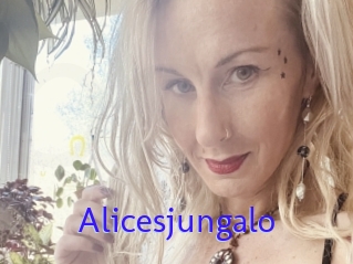 Alicesjungalo