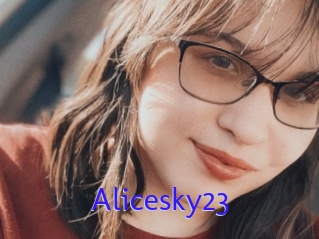 Alicesky23