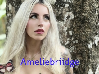 Ameliebriidge