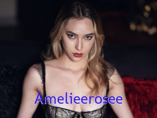 Amelieerosee