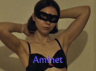 Aminet