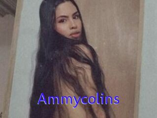 Ammycolins