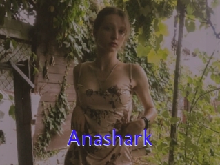 Anashark