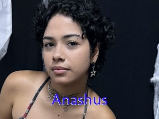 Anashus