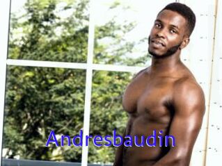 Andresbaudin