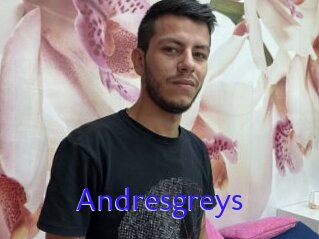 Andresgreys