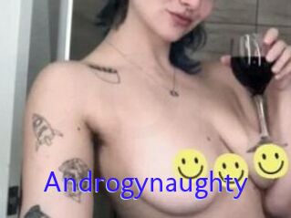 Androgynaughty