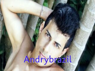 Andrybrazil