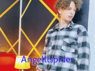 Angelllspider