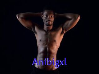 Anibigxl