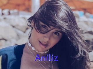 Aniliz