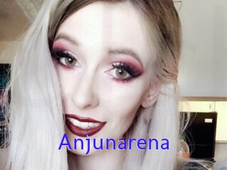 Anjunarena